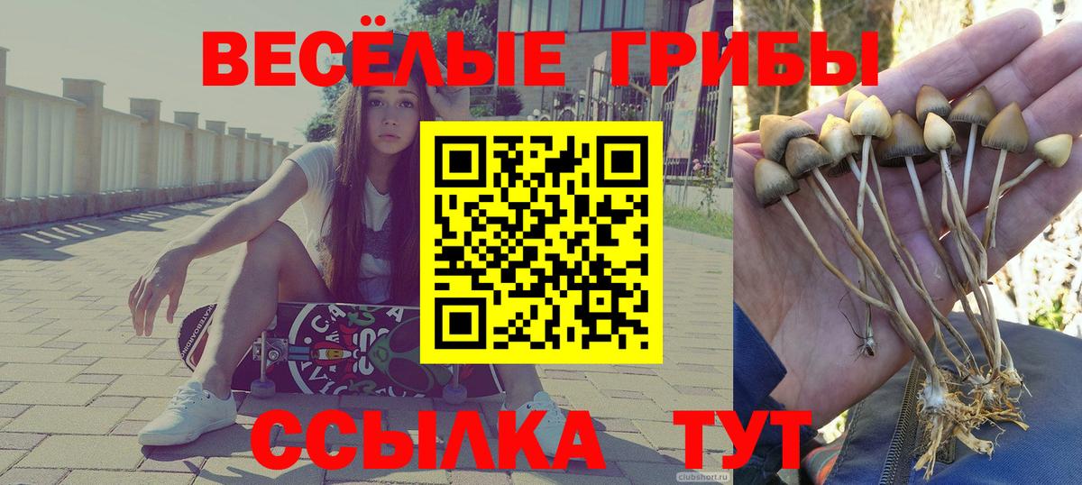 Галлюциногенные грибы MAGIC MUSHROOMS Ессентуки