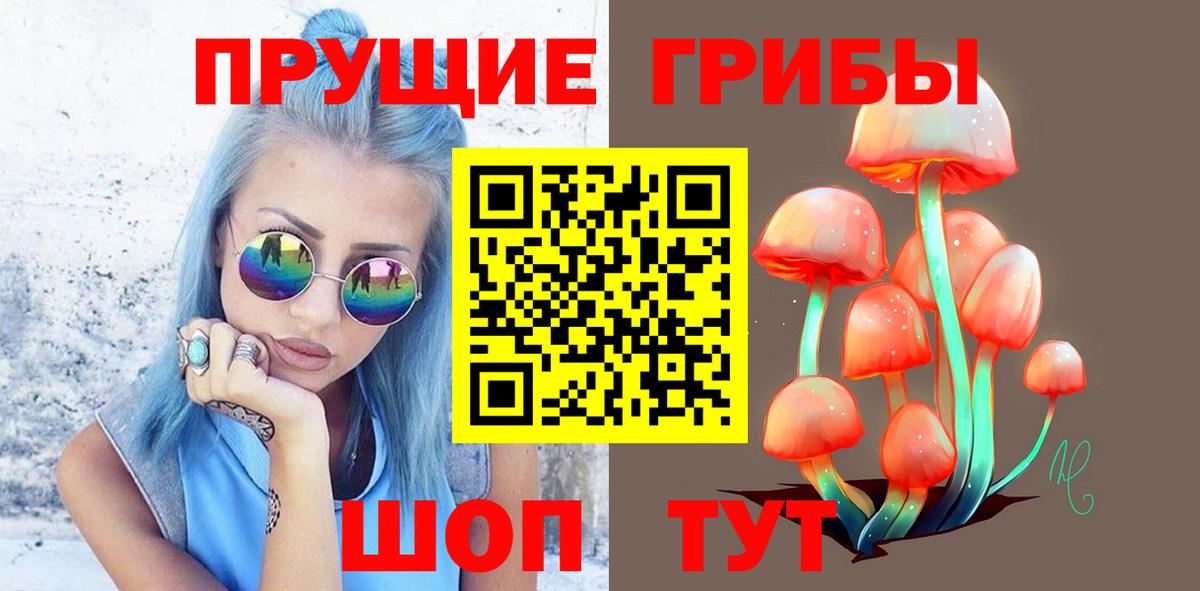 Галлюциногенные грибы мицелий  Псилоцибиновые грибы Psilocybine cubensis  Вход с VPN  купить   Ессентуки 